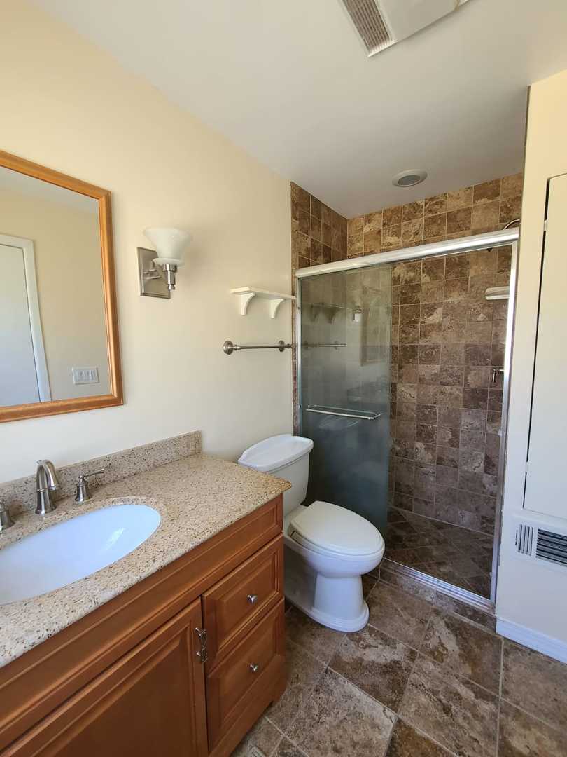 1441 Maple Street Glenview, IL 60025 - Photo 15 of 22 a bathroom with a sink and a mirror