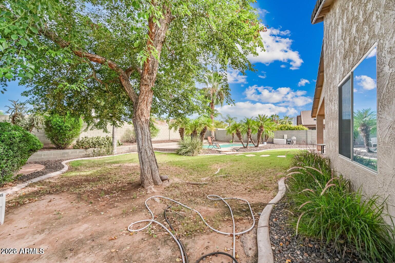 7809 South 20th Lane Phoenix, AZ 85041 - Photo 4 of 31 a view of a yard with plants and large trees