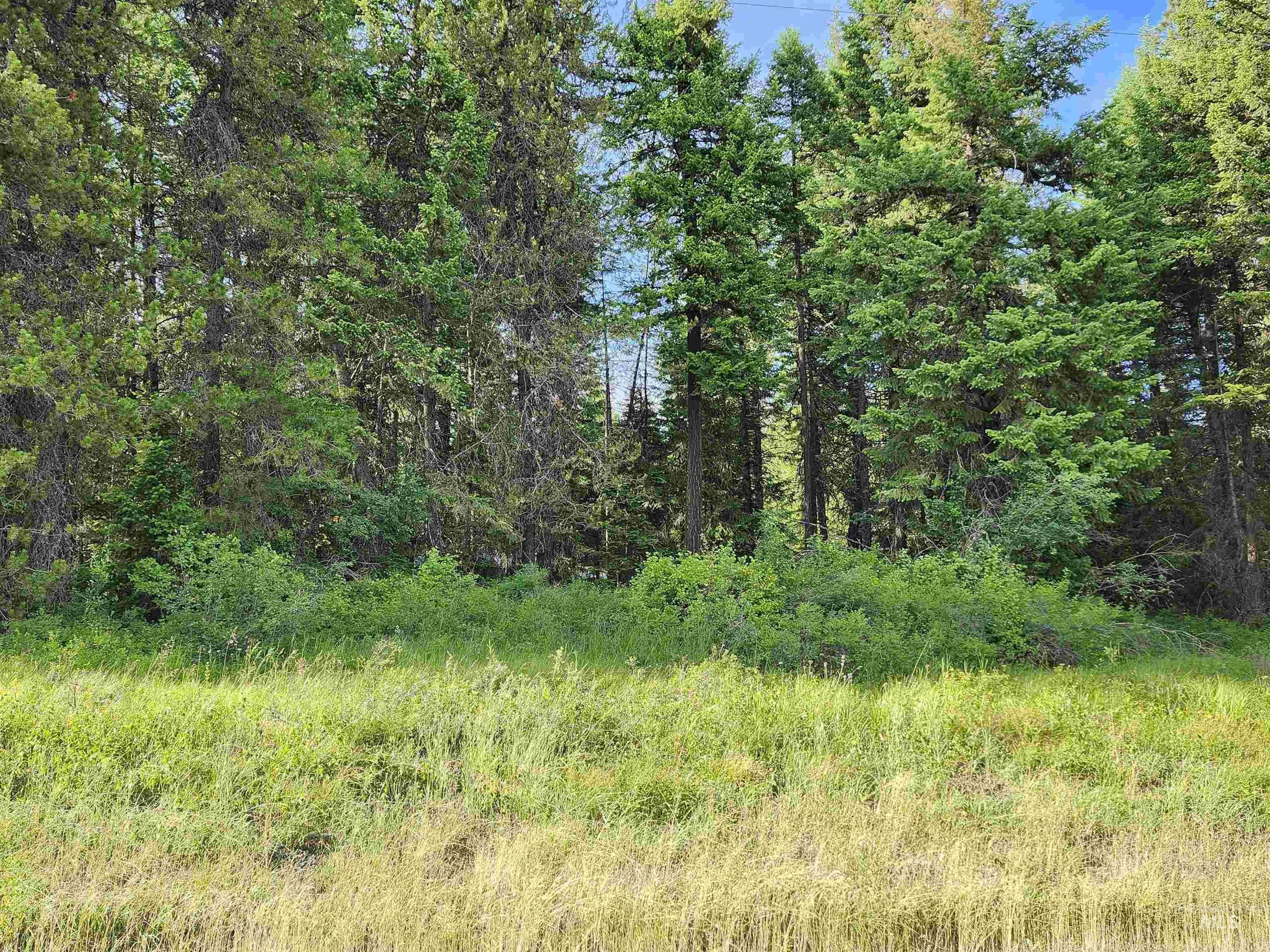 1130 Wilkins Road Deary, ID 83823 - Photo 1 of 1 Gallery Image 1