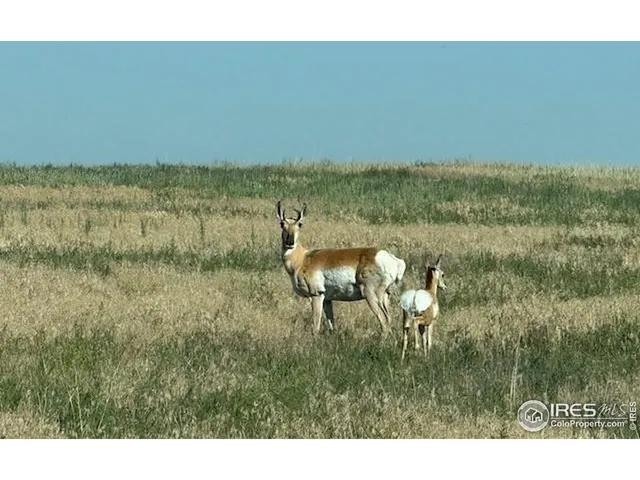 a view of a lake with a yard