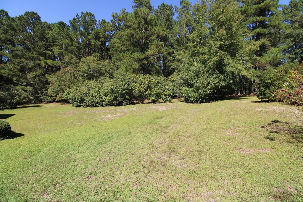 3032 Banks Mill Road Southeast Aiken, SC 29803 - Photo 12 of 15