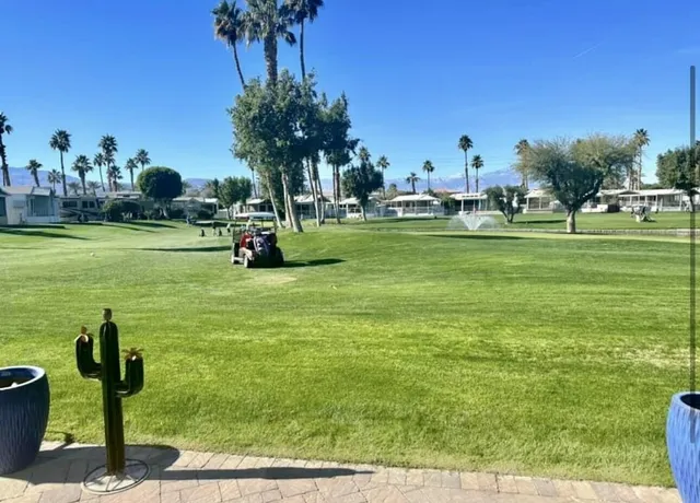 a view of a park with large trees