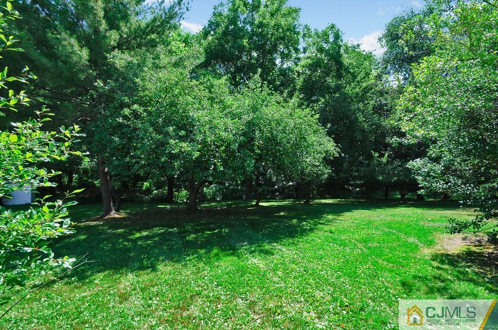 30 Alexander Road East Brunswick, NJ 08816 - Photo 22 of 24 Gallery Image 22