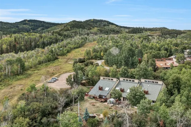an aerial view of residential house with green space