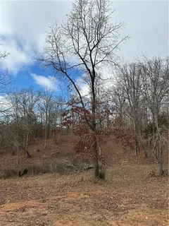 $118,000 | 33 Nally Road, Rydal, GA 30171