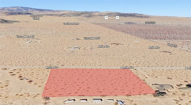 a view of bushes and trees