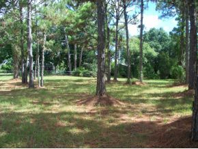 580 West Hall Road Merritt Island, FL 32953 - Photo 5 of 12 Additional Photo