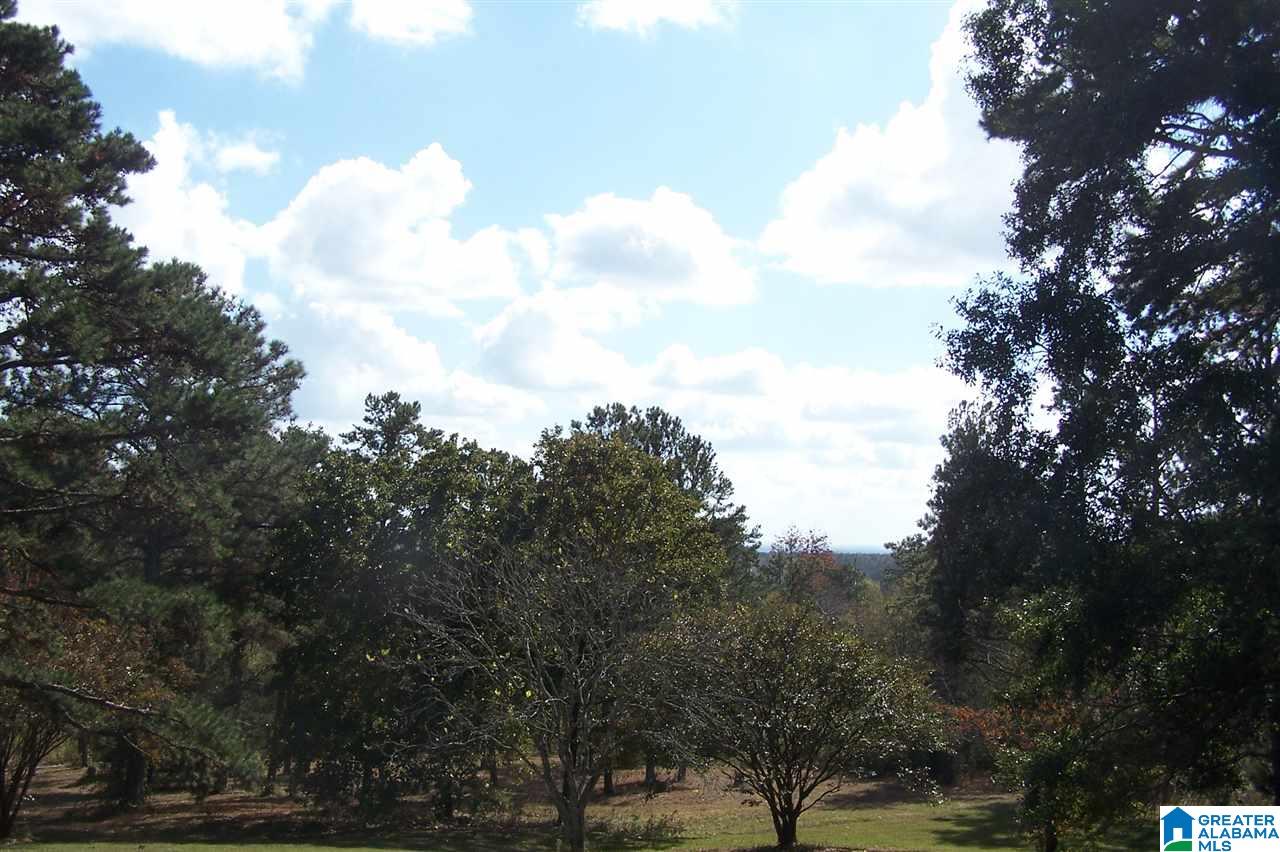 4907 County Road 45 Hayden, AL 35079 - Photo 8 of 28
