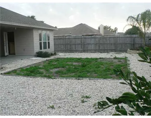a view of a backyard with plants and large trees