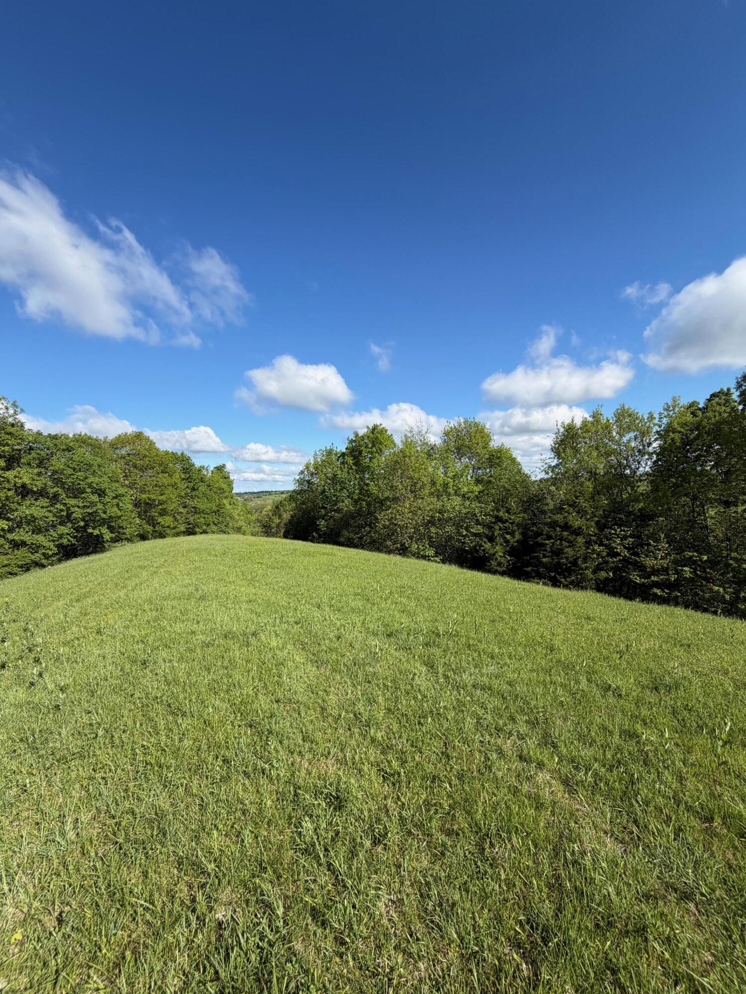 32.28-ac Chipman Ridge Road Williamstown, KY 41097 - Photo 11 of 13