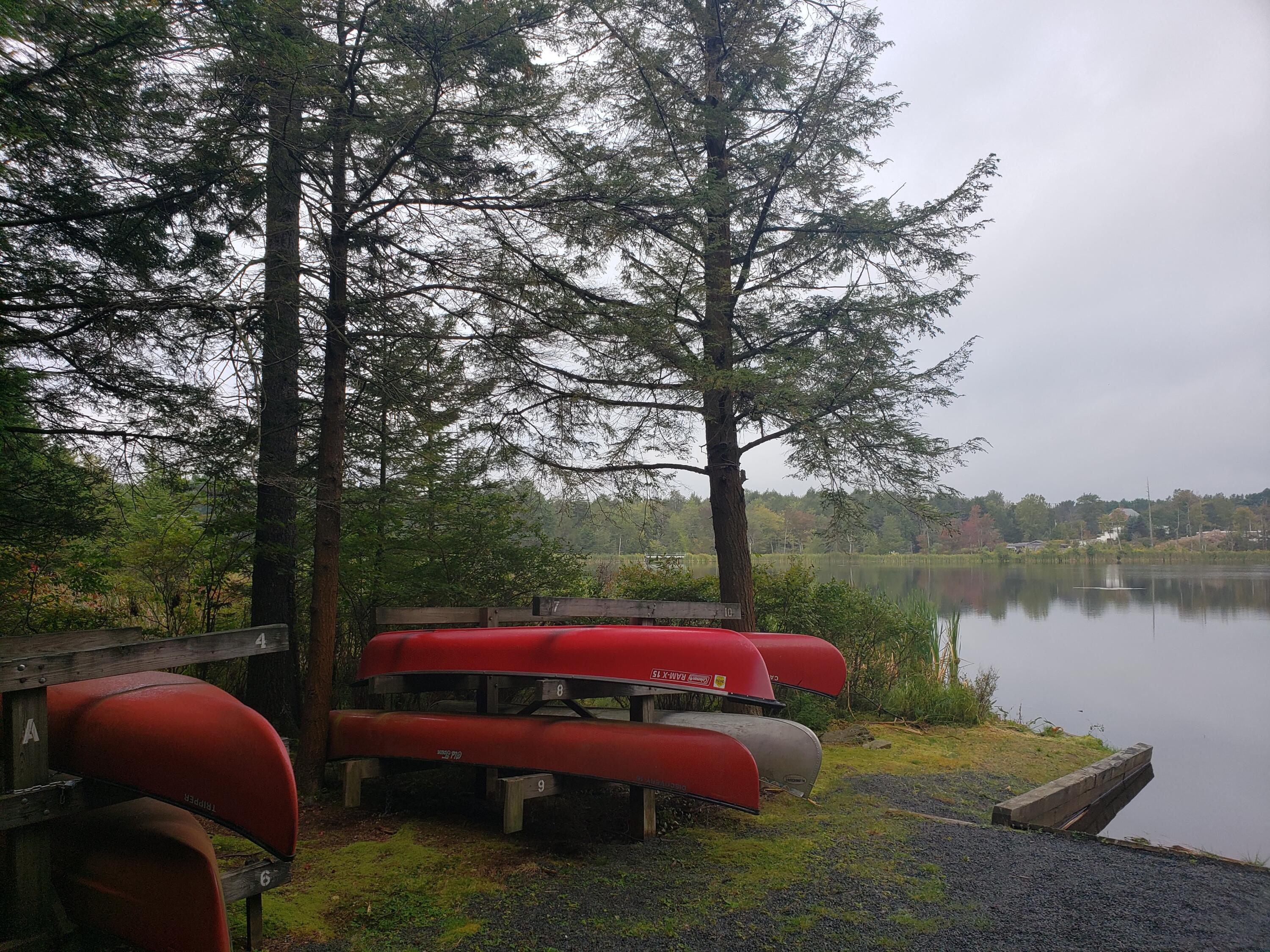 910 Wadi Road West Pocono Lake, PA 18347 - Photo 13 of 21 20190910_080221