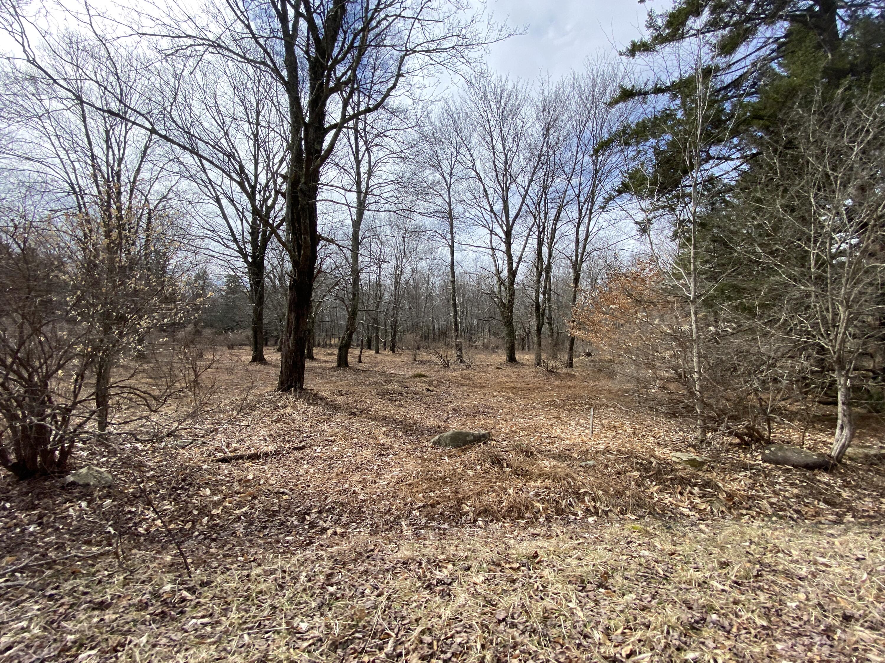 910 Wadi Road West Pocono Lake, PA 18347 - Photo 20 of 21 IMG_7306