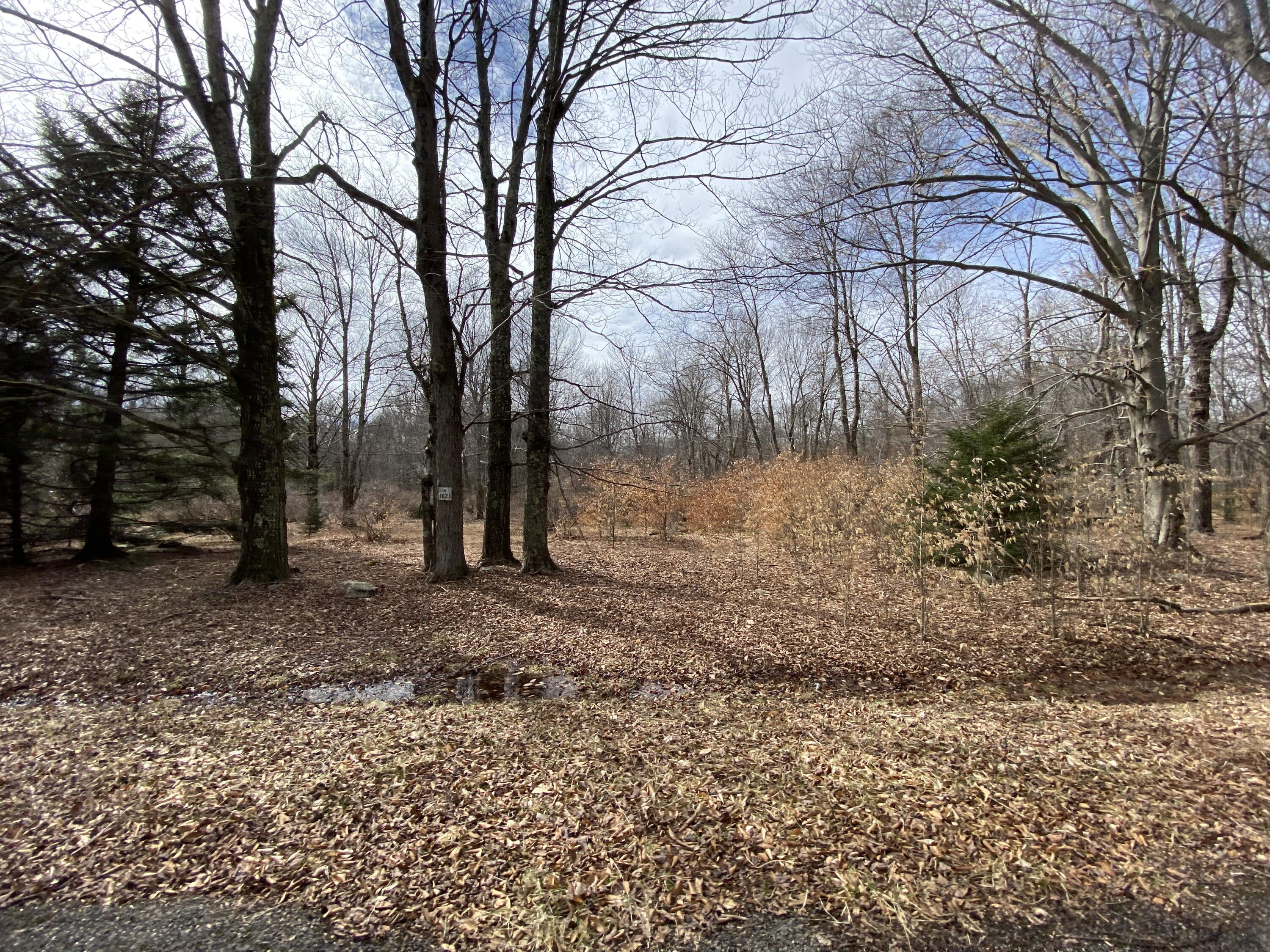 910 Wadi Road West Pocono Lake, PA 18347 - Photo 21 of 21 IMG_7315