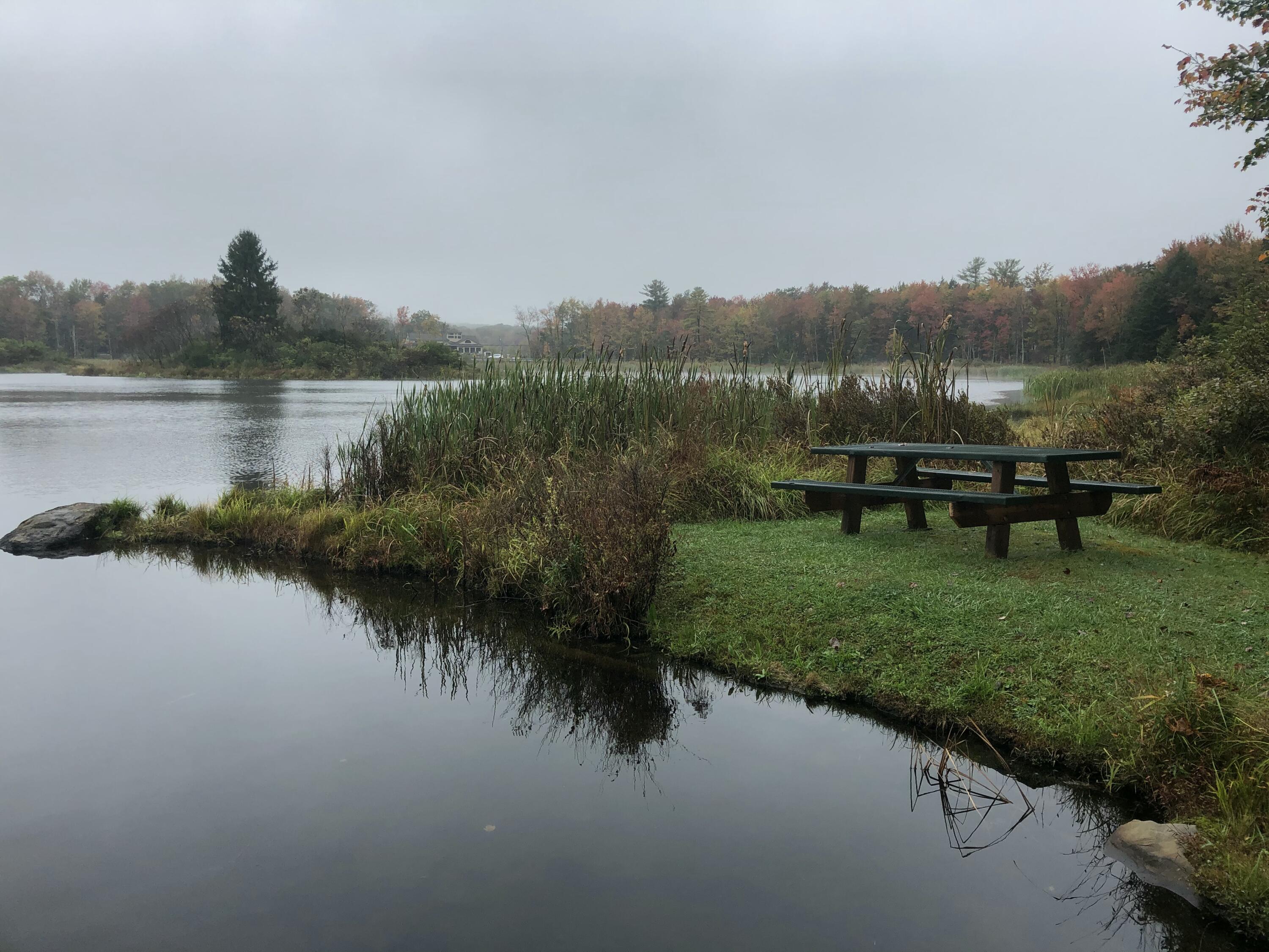 910 Wadi Road West Pocono Lake, PA 18347 - Photo 6 of 21 IMG_1444