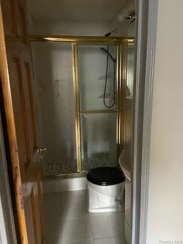 a bathroom with a shower and toilet