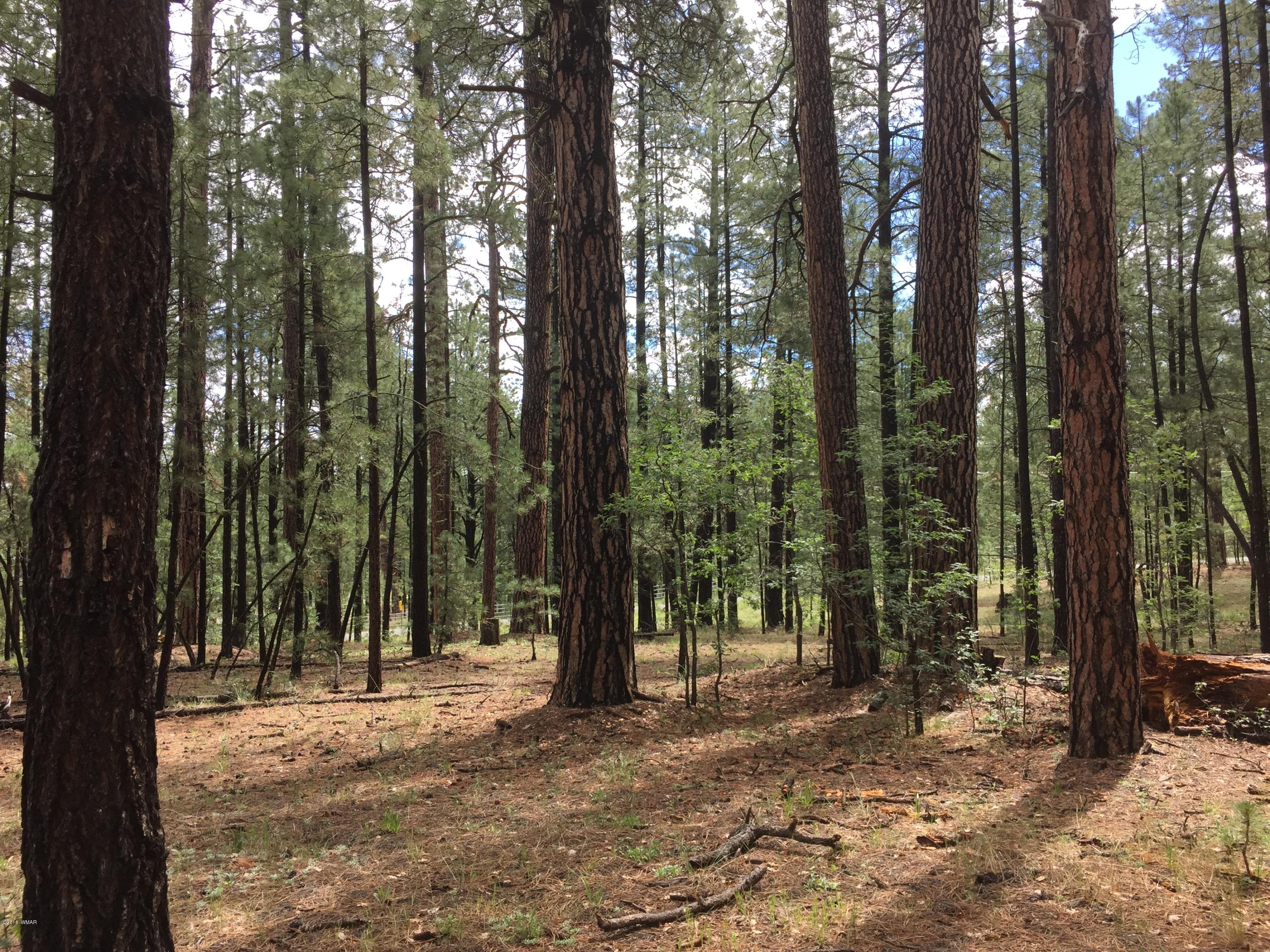 18 T Cr Alpine, AZ 85920 - Photo 11 of 19 a view of outdoor space and trees