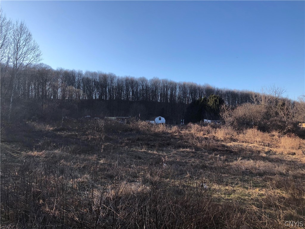 10096 Dietzel Road Conquest, NY 13166 - Photo 11 of 19