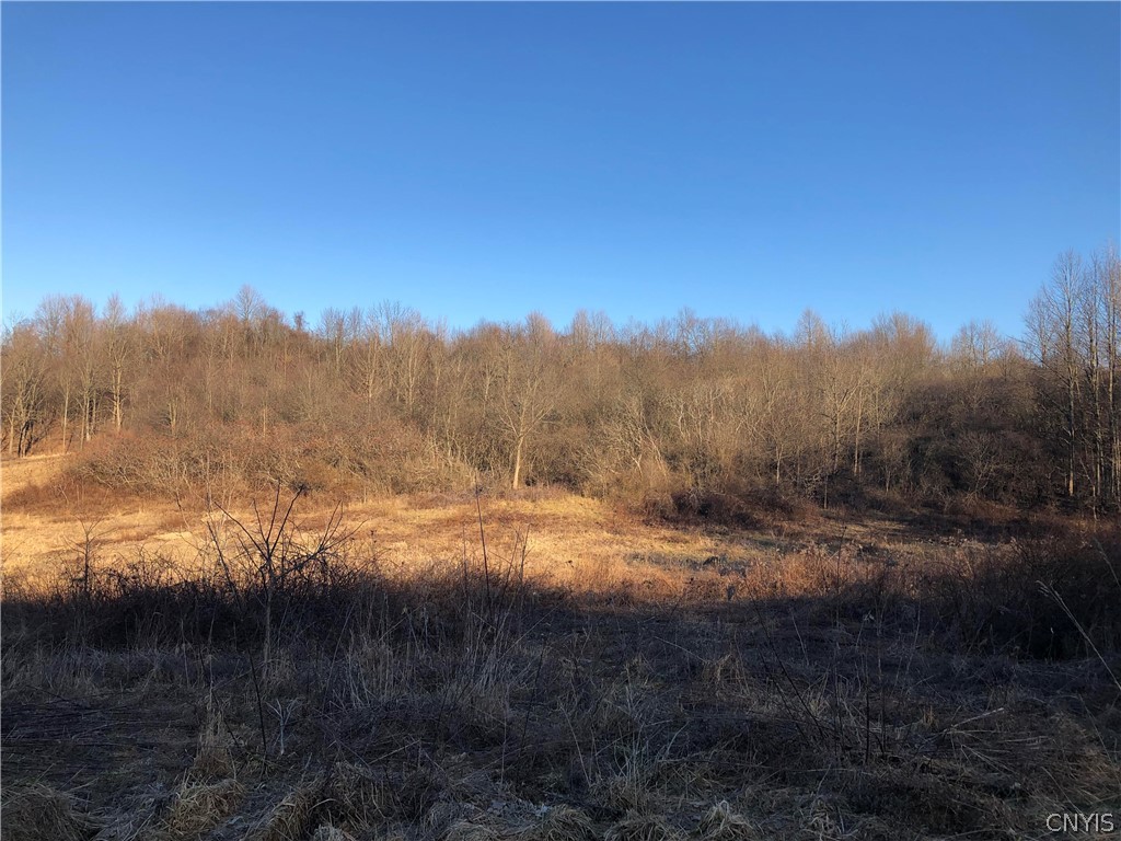 10096 Dietzel Road Conquest, NY 13166 - Photo 12 of 19