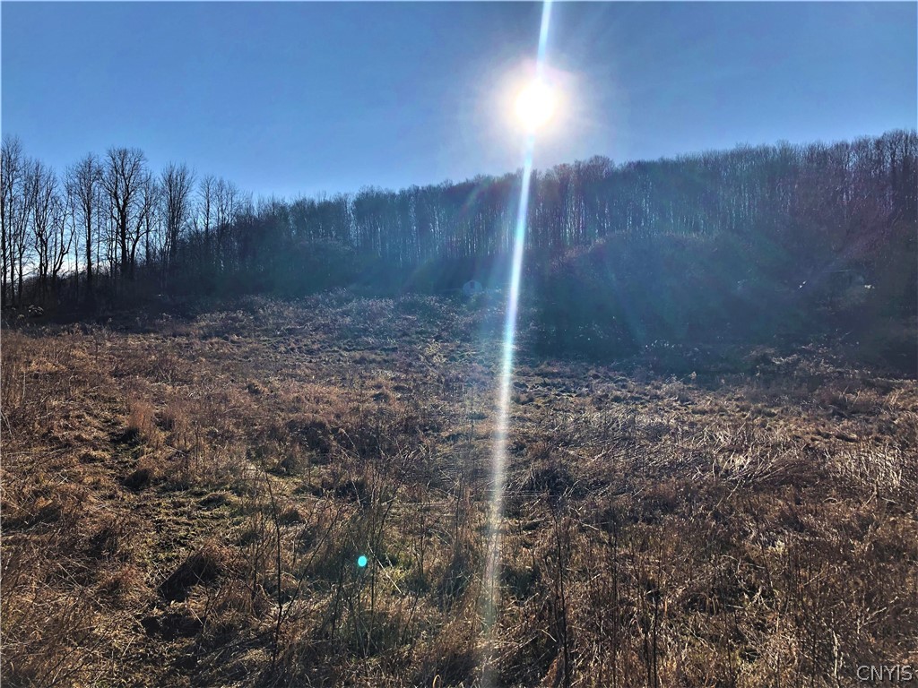 10096 Dietzel Road Conquest, NY 13166 - Photo 10 of 19