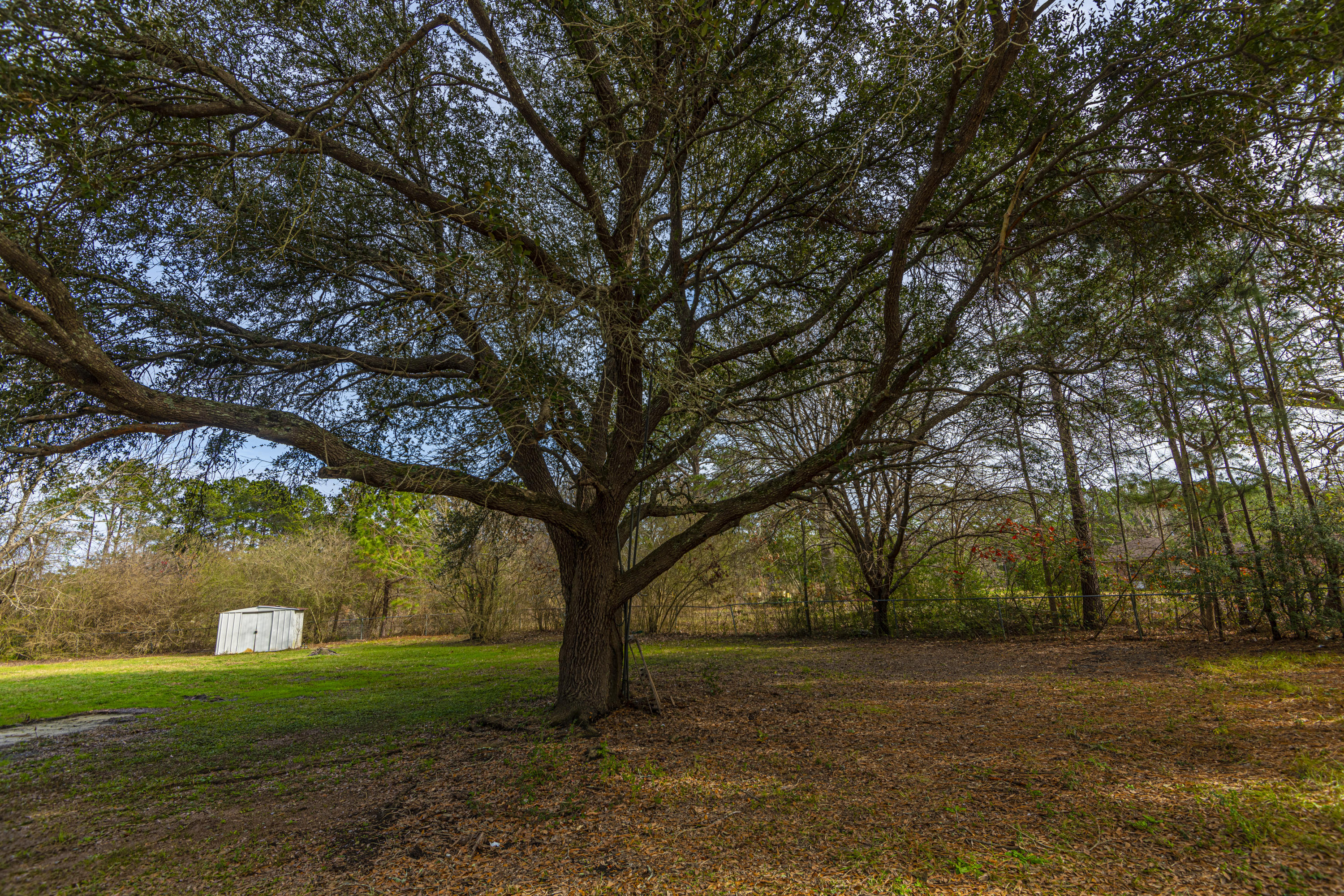 146 Sanders Road Ridgeville, SC 29472 - Photo 32 of 41 DSC_4971