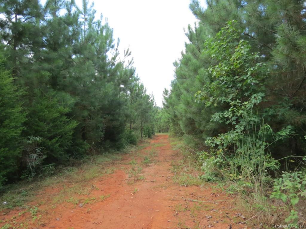 33-ac 33-ac Simpson Road Sharon, SC 29742 - Photo 2 of 11