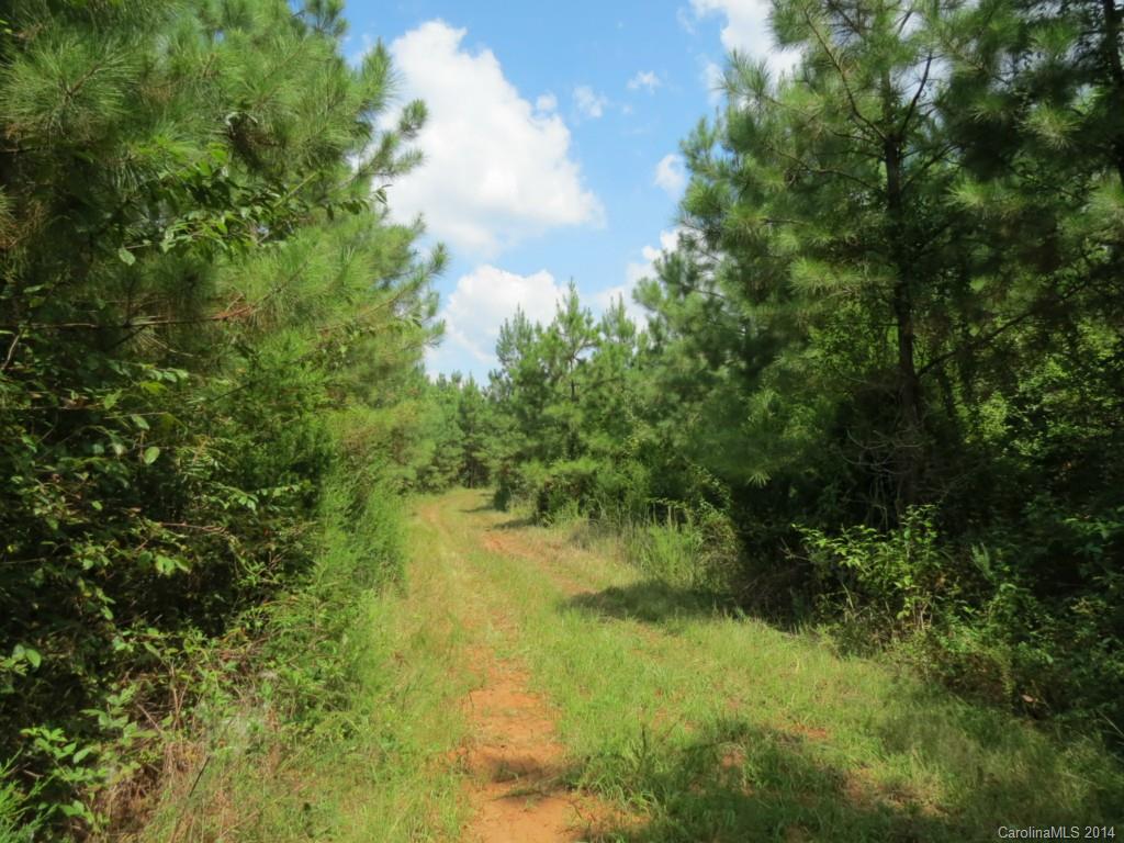 33-ac 33-ac Simpson Road Sharon, SC 29742 - Photo 3 of 11
