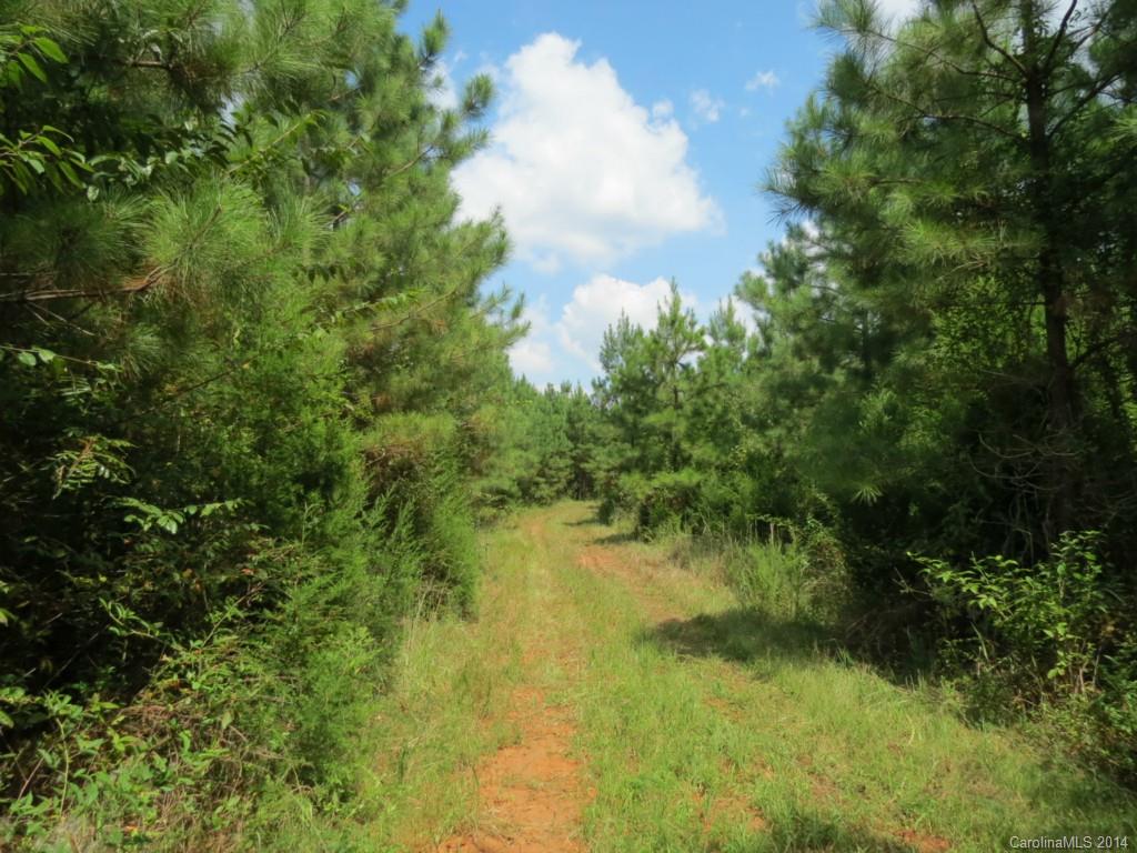 33-ac 33-ac Simpson Road Sharon, SC 29742 - Photo 4 of 11