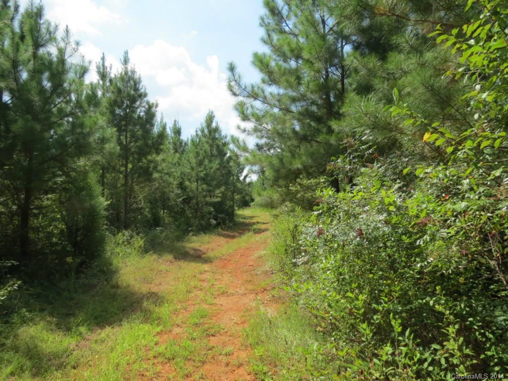33-ac 33-ac Simpson Road Sharon, SC 29742 - Photo 5 of 11