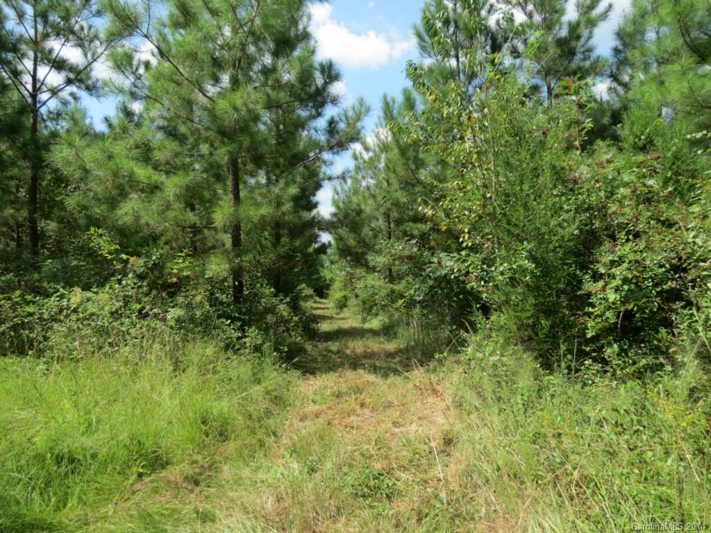 33-ac 33-ac Simpson Road Sharon, SC 29742 - Photo 6 of 11