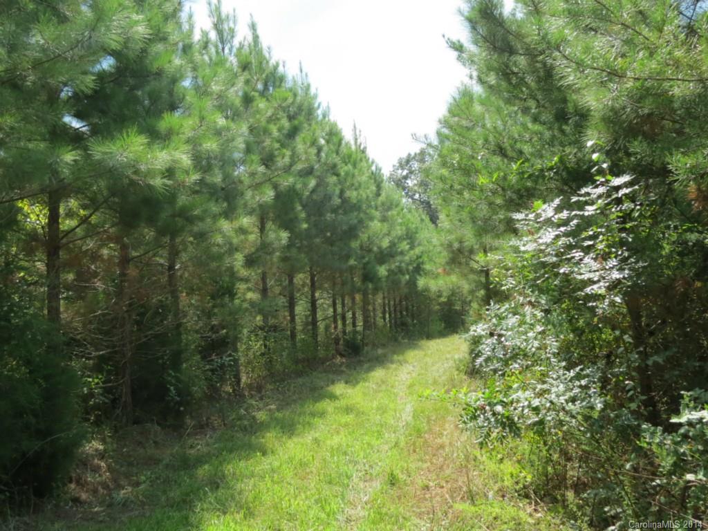 33-ac 33-ac Simpson Road Sharon, SC 29742 - Photo 7 of 11