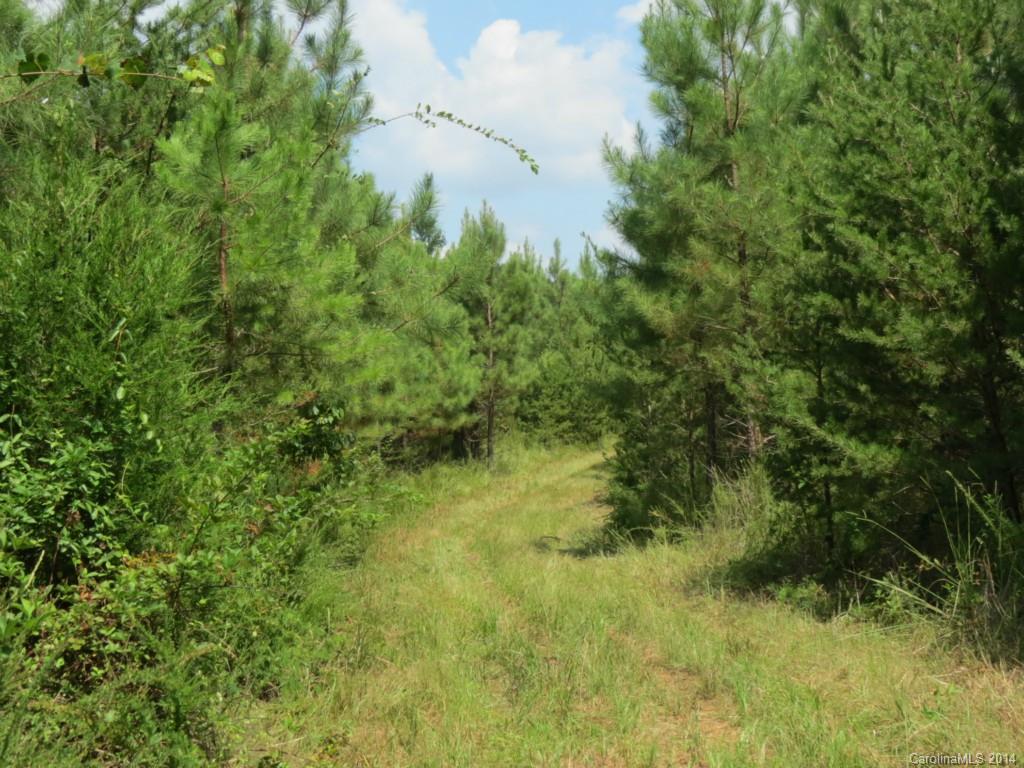 33-ac 33-ac Simpson Road Sharon, SC 29742 - Photo 8 of 11