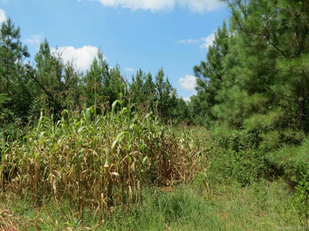 33-ac 33-ac Simpson Road Sharon, SC 29742 - Photo 10 of 11