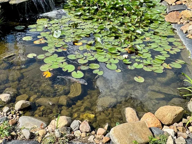 $310,000 | 23875 East Th Road North, Cropsey, IL 61731