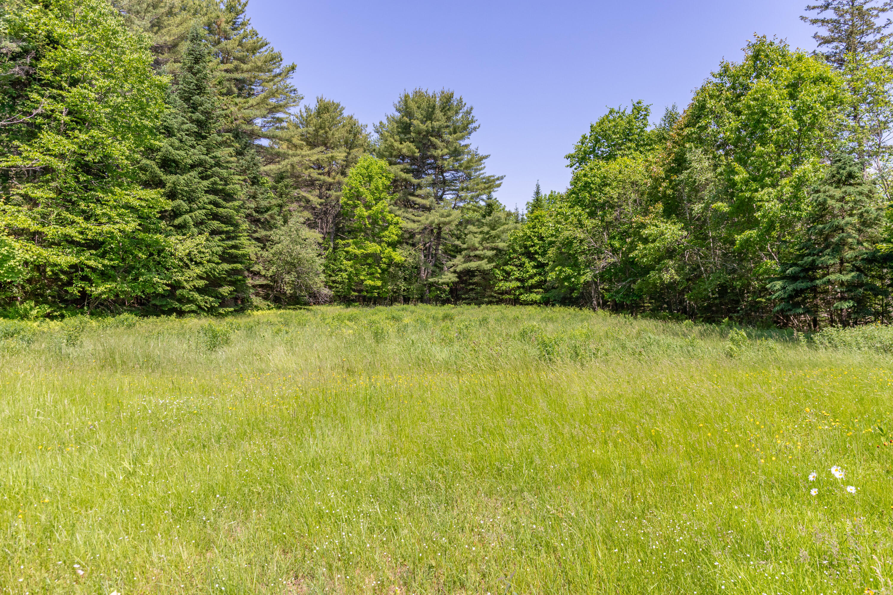 445 Back Ridge Road Orland, ME 04472 - Photo 54 of 66 445 Back Ridge Road Exteriors-13