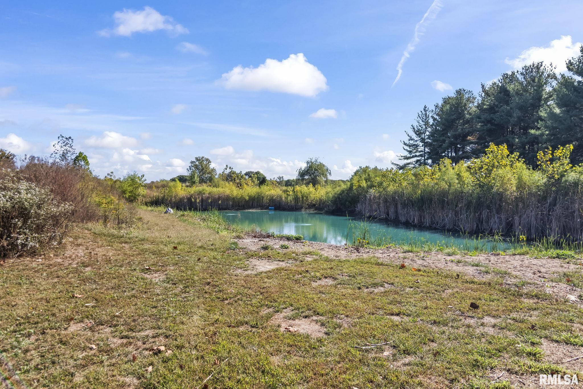 6856 Minder Road Rochester, IL 62563 - Photo 39 of 65