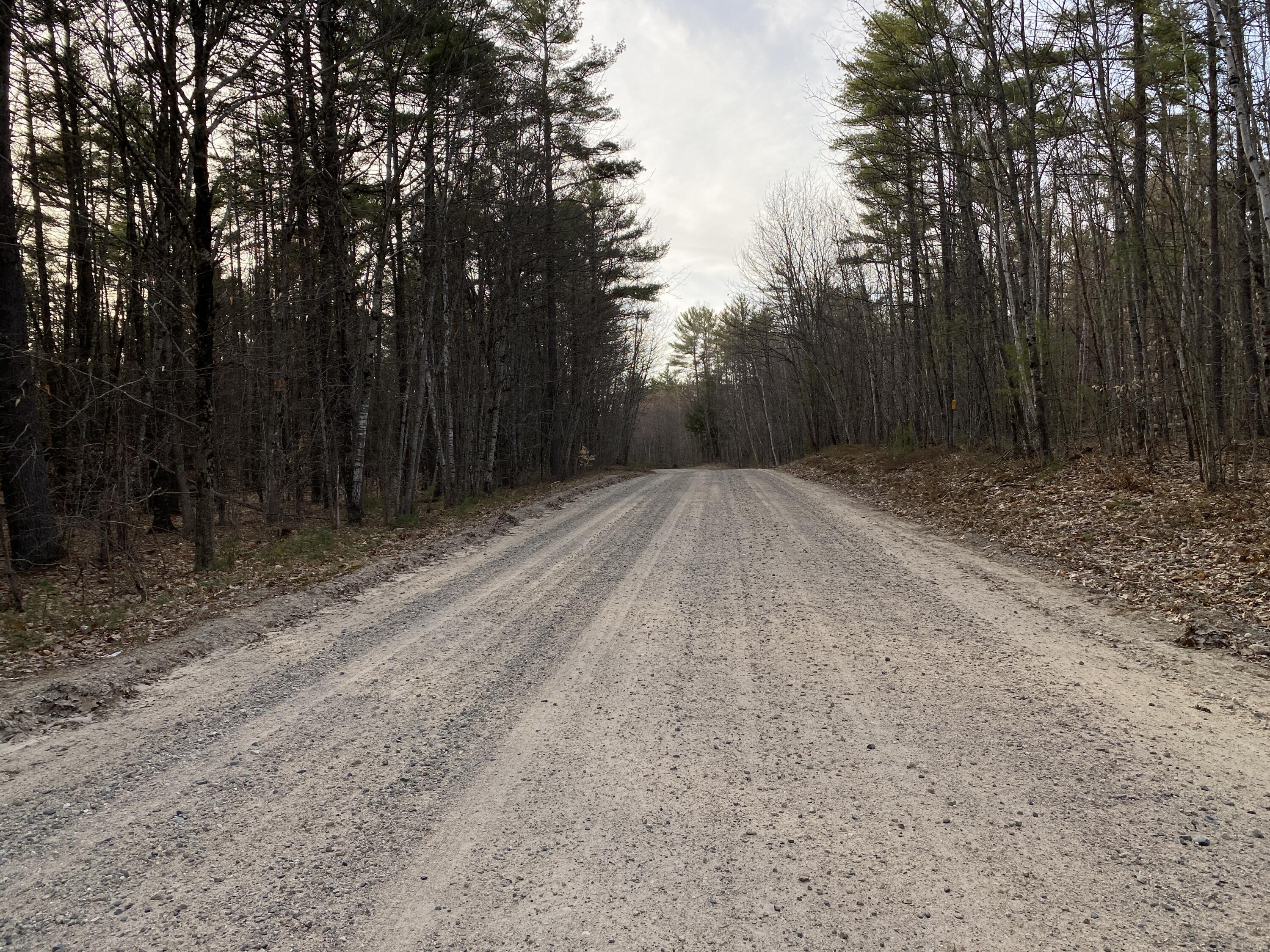 Lot 1-4 Denmark Road Fryeburg, ME 04037 - Photo 5 of 5 IMG_3299