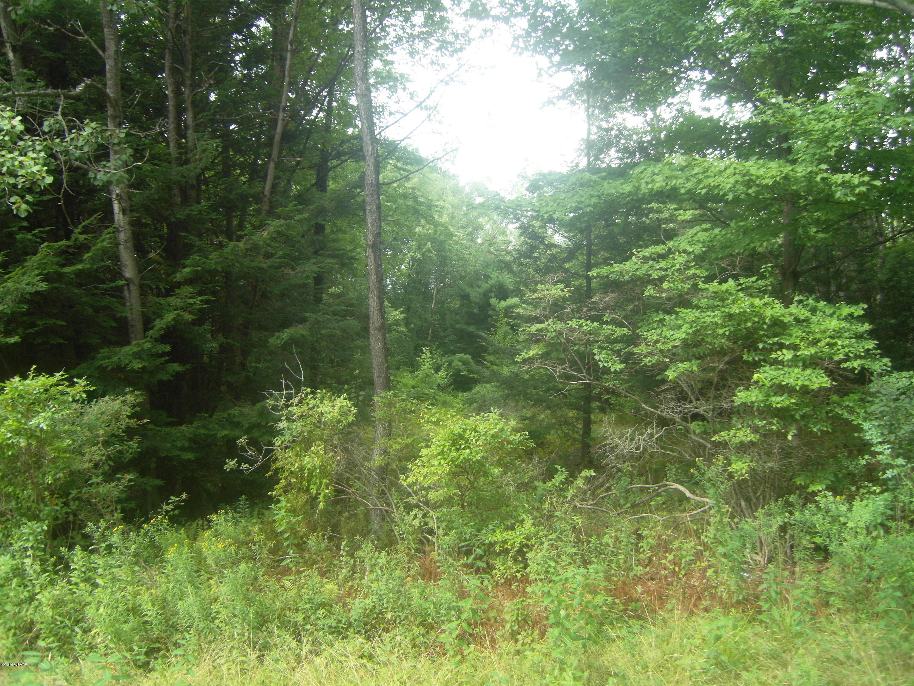 0 Old Farm Road Muncy Valley, PA 17758 - Photo 11 of 12 SDC14565