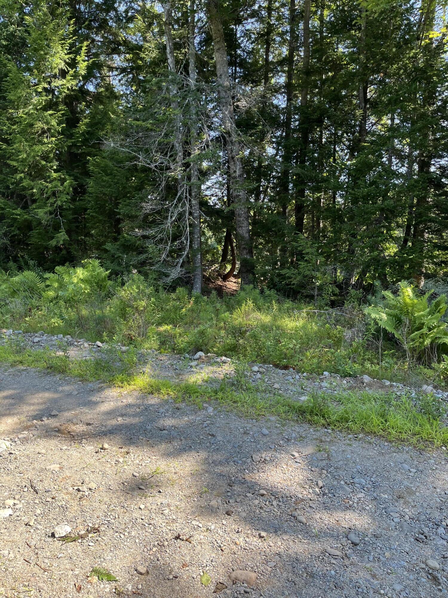 Lot 4 West Indian Road Lincoln, ME 04457 - Photo 8 of 29