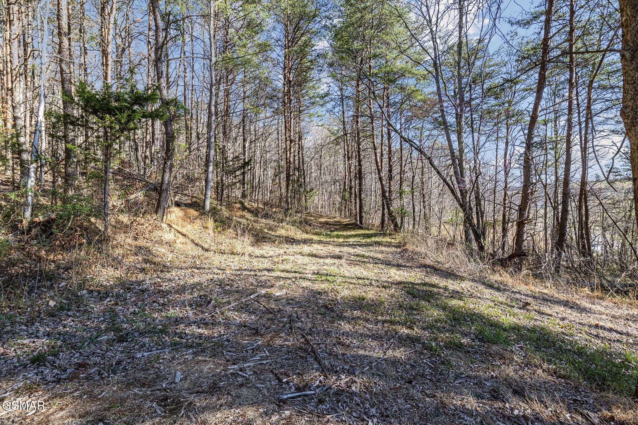 0 Little Meadow Creek Road Greeneville, TN 37743 - Photo 15 of 17