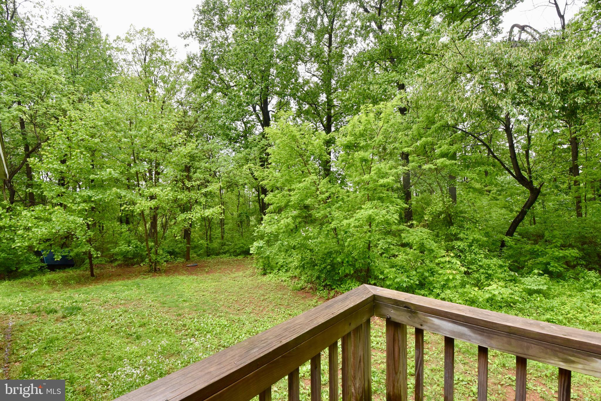 918 Morgans Mill Road Bluemont, VA 20135 - Photo 14 of 17 View of entrance of back porch