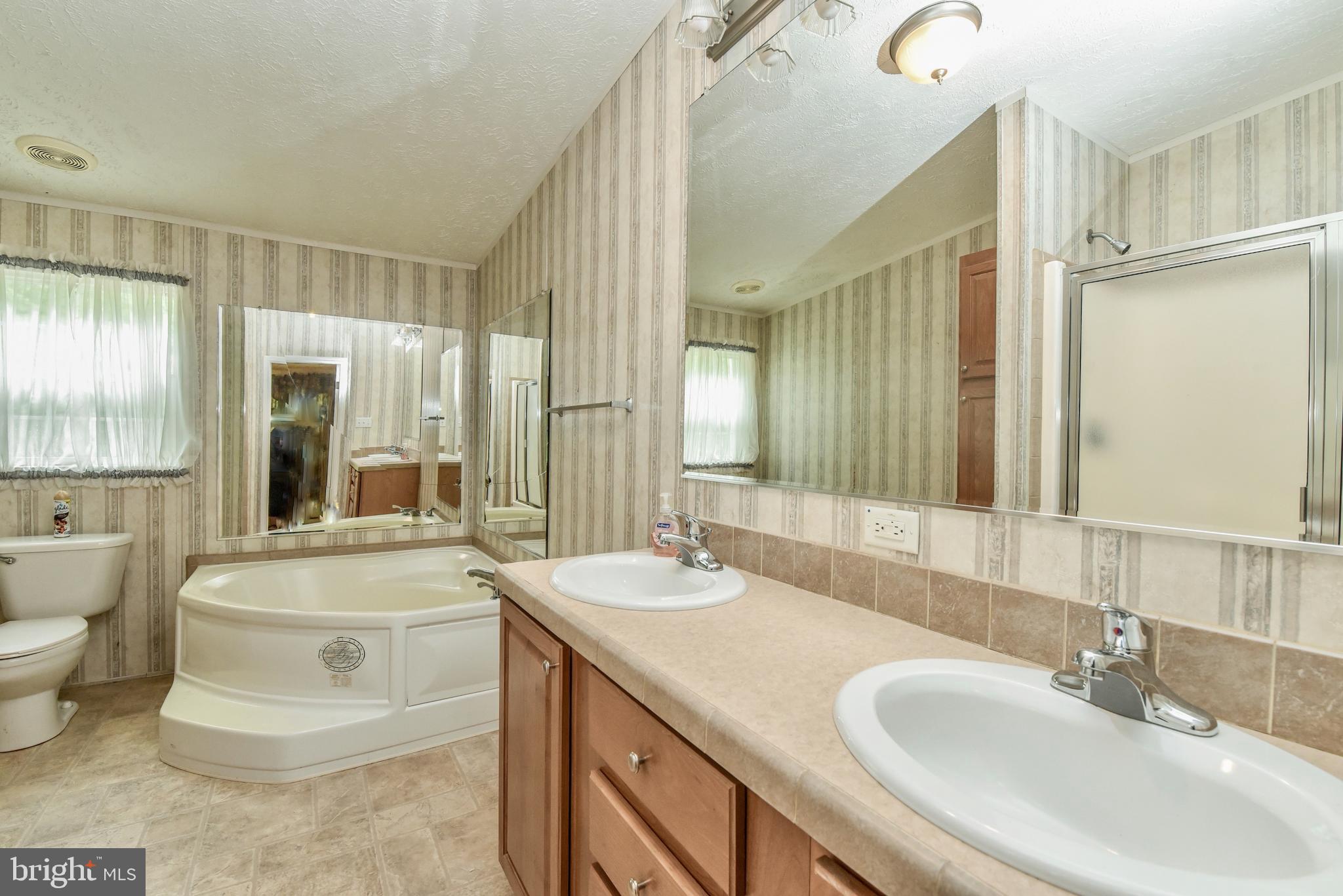 918 Morgans Mill Road Bluemont, VA 20135 - Photo 9 of 17 Master Bath