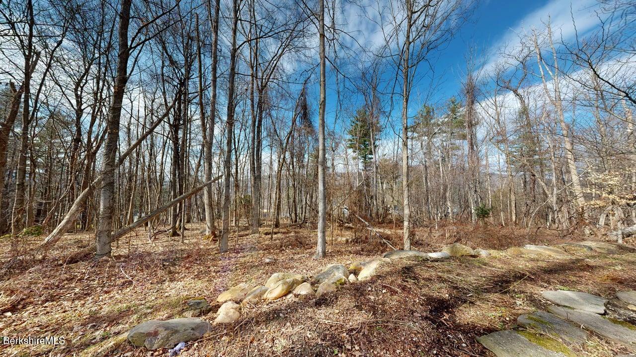 367 Notch Road North Adams, MA 01247 - Photo 38 of 42 Back Yard Area