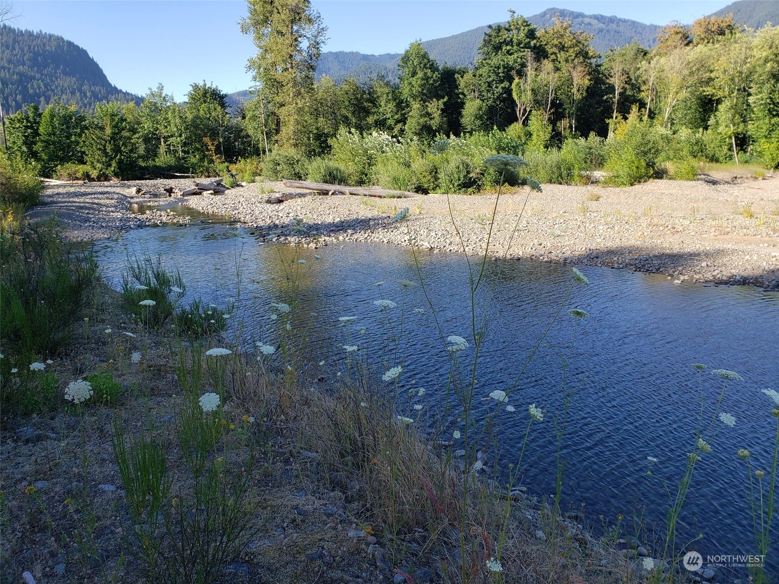 0 Kehoe Road Randle, WA 98377 - Photo 10 of 19 Gallery Image 10