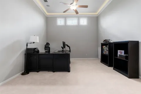 a view of a livingroom with furniture window and wooden floor