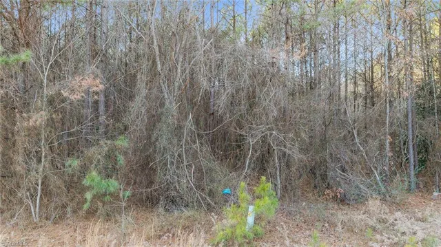 $79,900 | 27 Highway 24, Eagle Springs, NC 27242