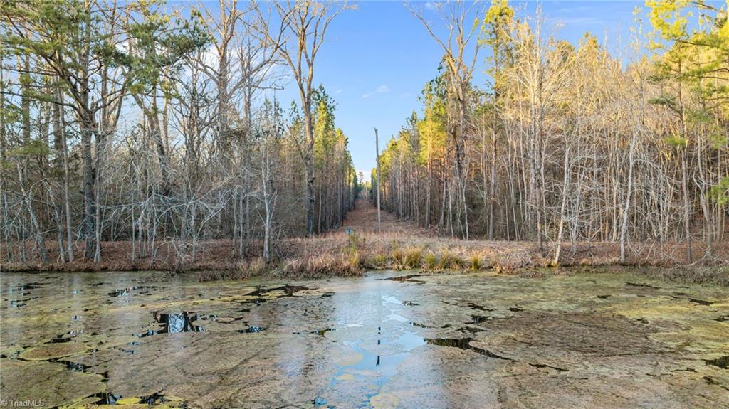 27 Highway 24 Eagle Springs, NC 27242 - Photo 3 of 19