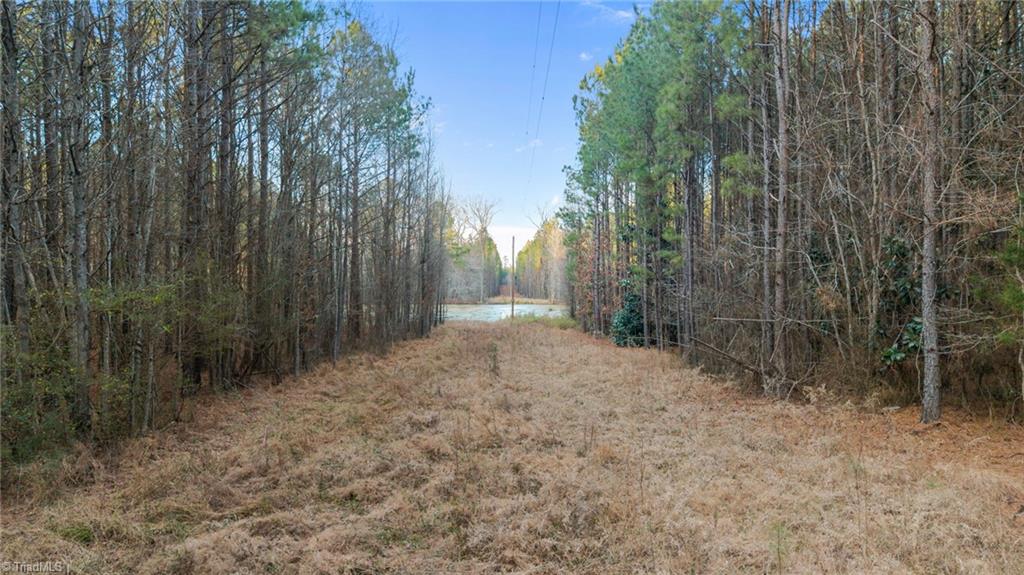 27 Highway 24 Eagle Springs, NC 27242 - Photo 4 of 19