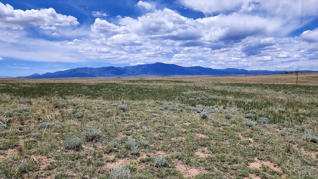 110 County Road 110 Rye, CO 81069 - Photo 36 of 37