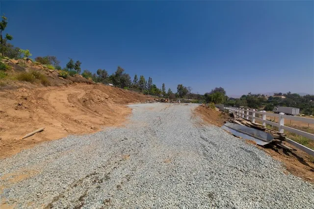 a view of a dry yard with trees
