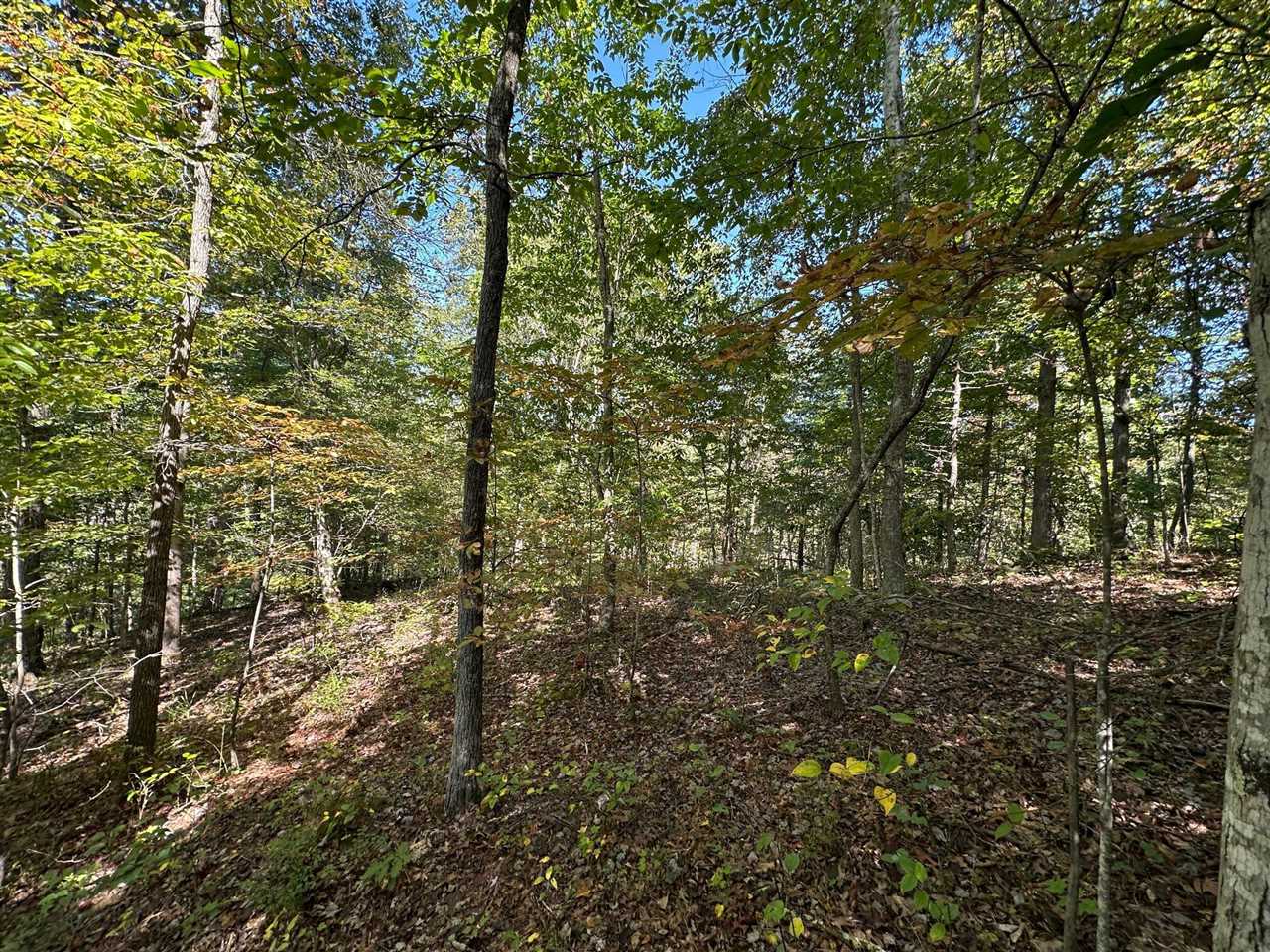 18 A Hall Road Grayson, KY 41143 - Photo 62 of 77 Gallery Image 62